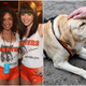 At Hooters, every dog has his day